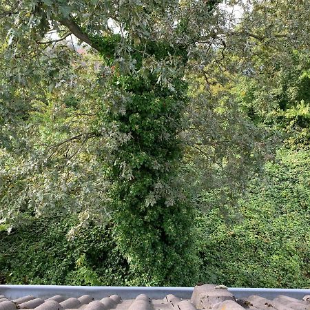 Kleines Apartment In Moenchengladbach-Neuwerk エクステリア 写真