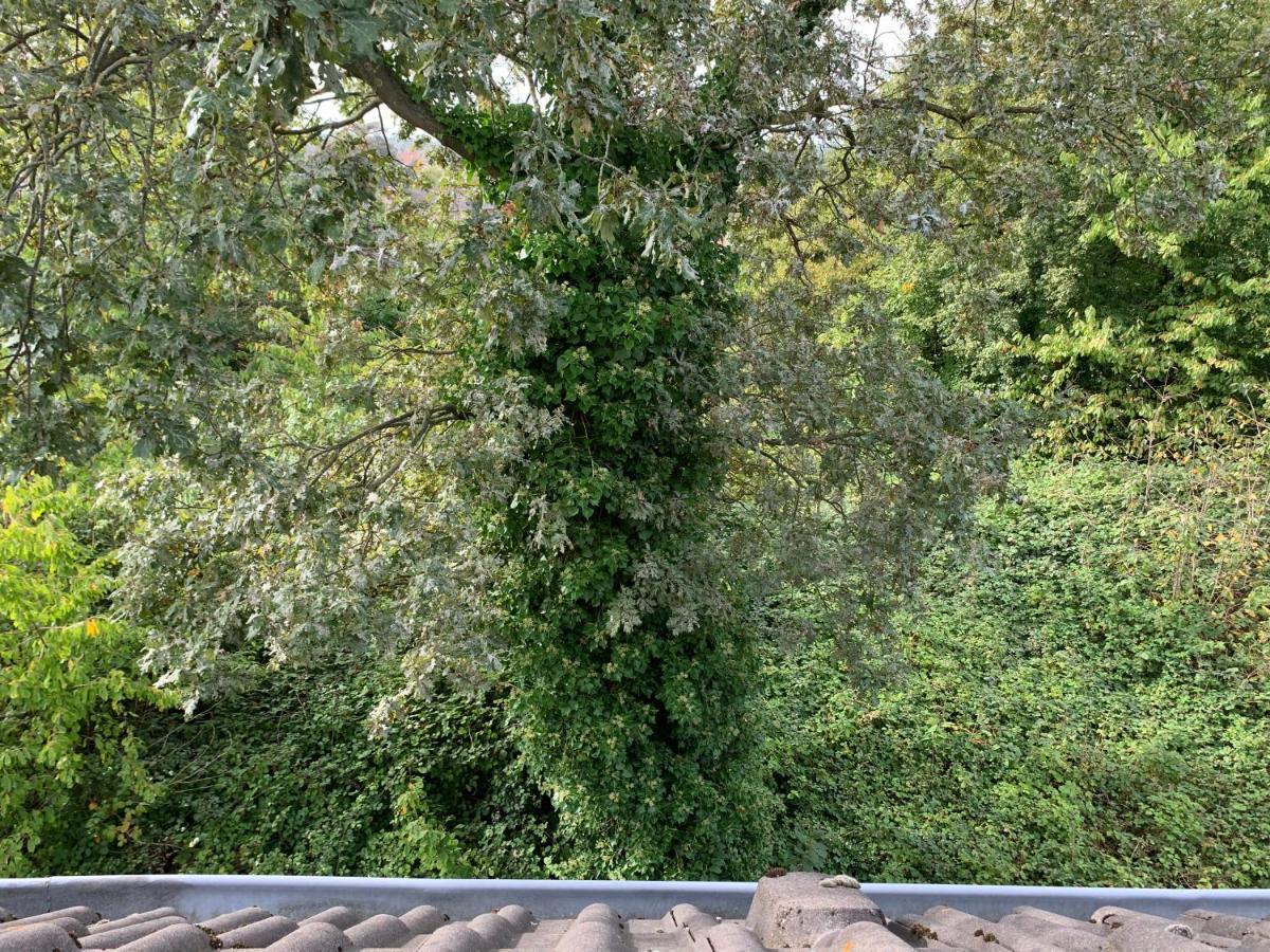 Kleines Apartment In Moenchengladbach-Neuwerk エクステリア 写真